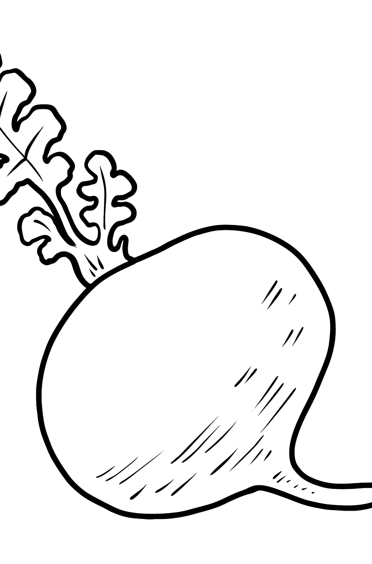 Black Radish coloring page - Coloring Pages for Kids