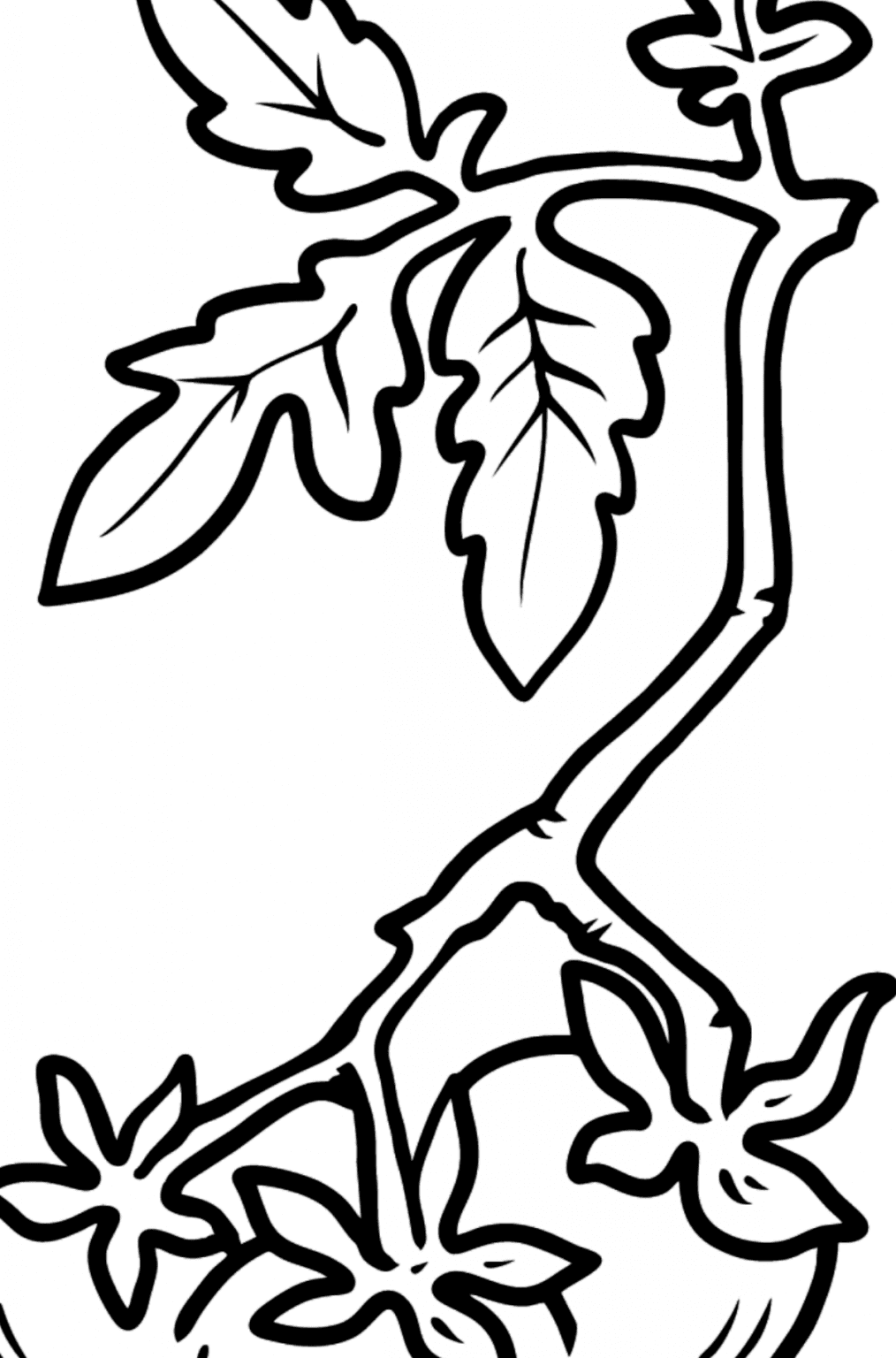 Cherry Tomato coloring page ♥ Online and Printable for Free!