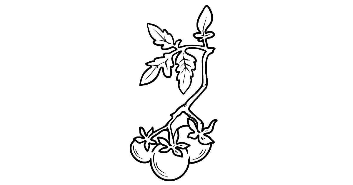 Cherry Tomato coloring page ♥ Online and Printable for Free!
