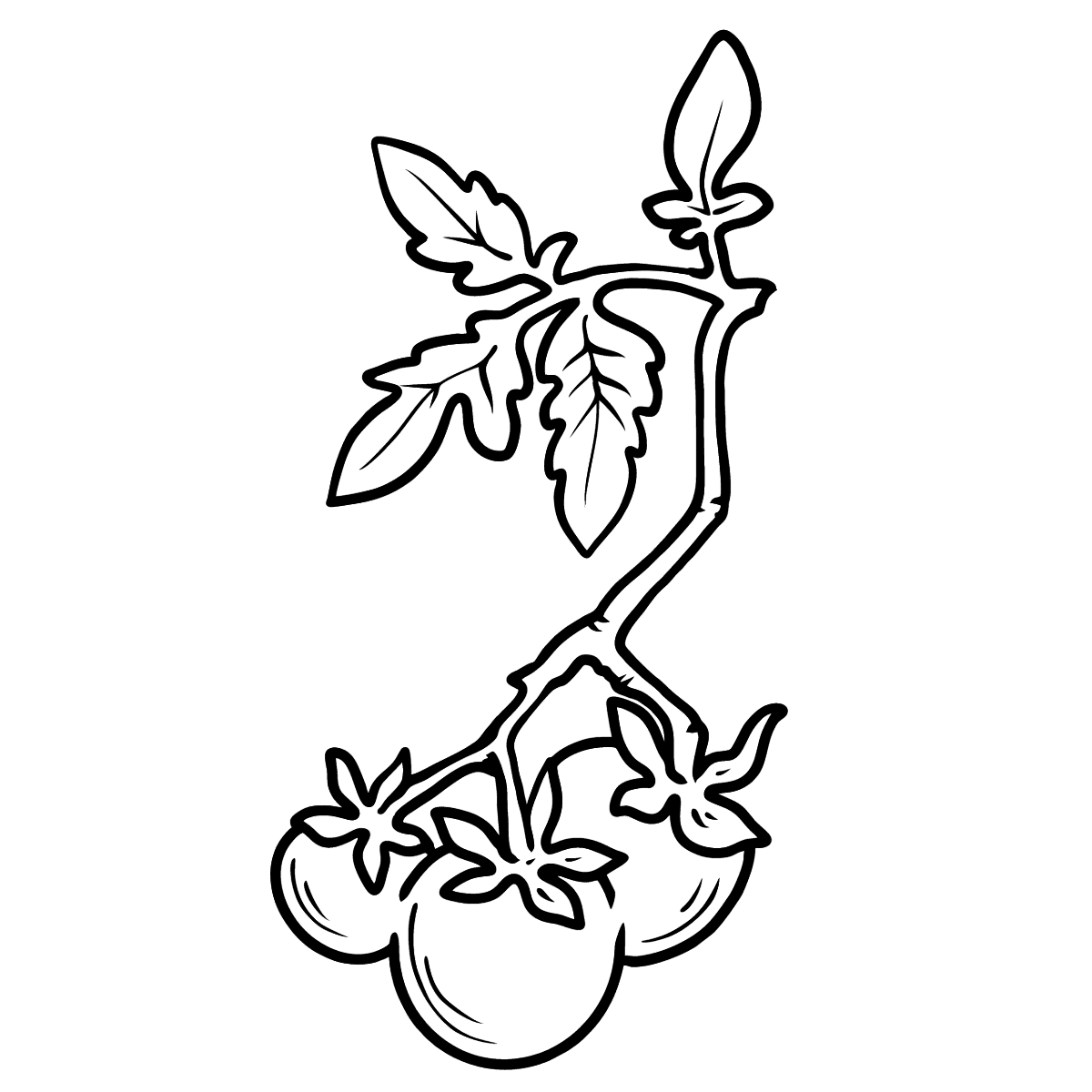 Рисунок как раскрасить помидоры черри
