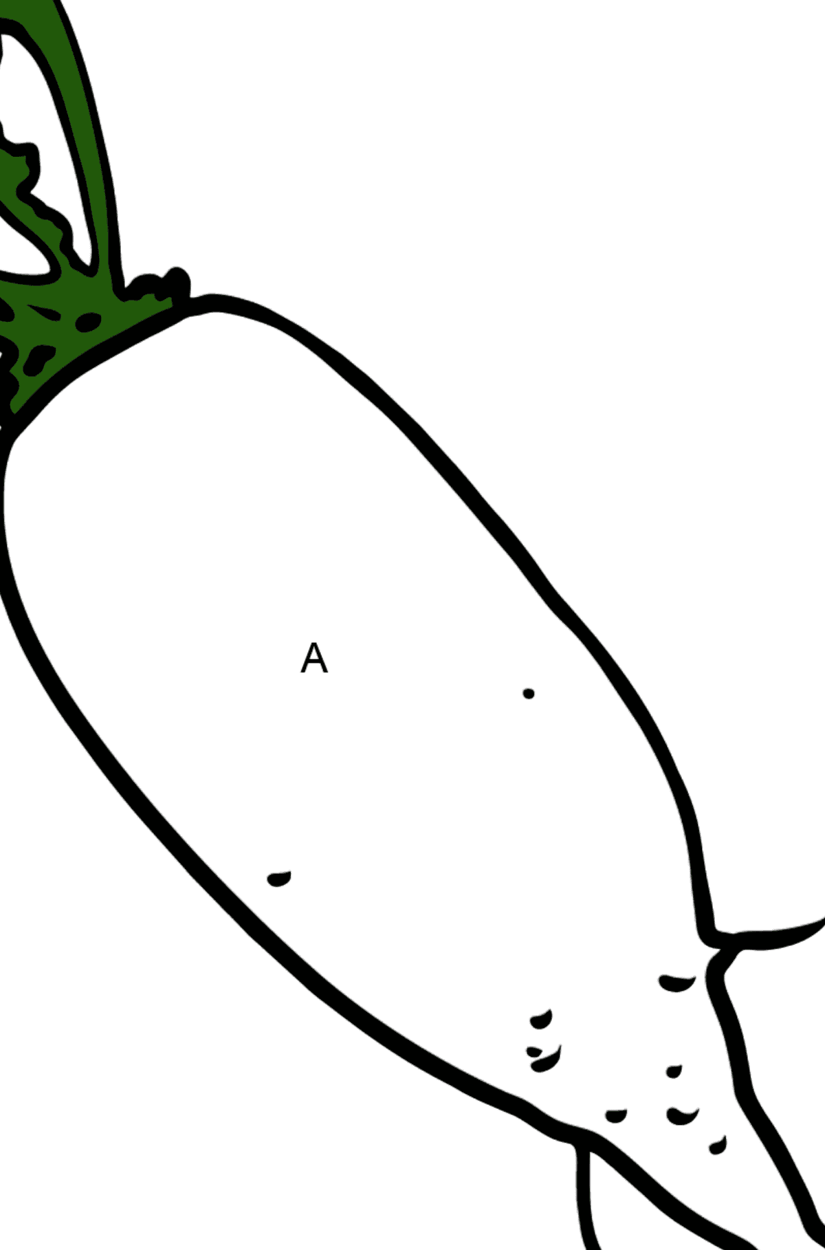 Daikon coloring page - Coloring by Letters for Kids
