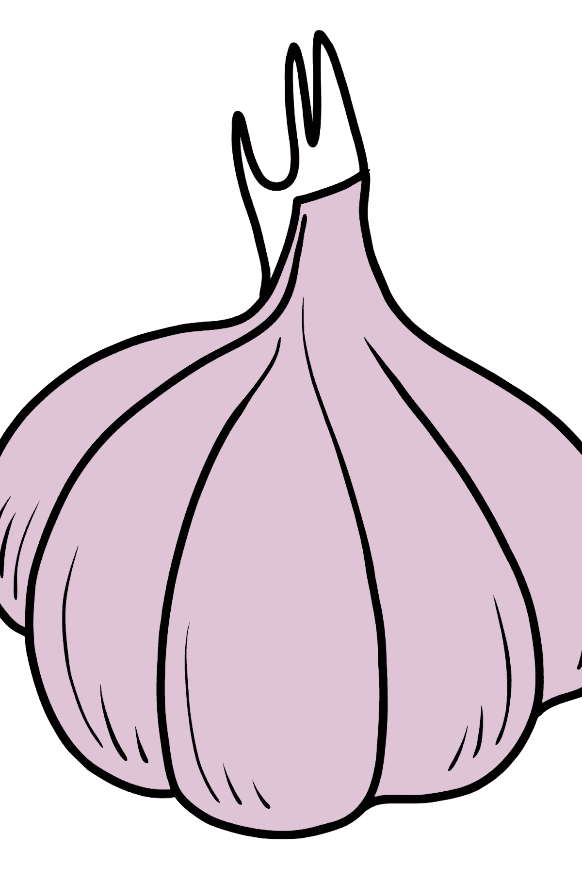 Garlic coloring page - Coloring Pages for Kids