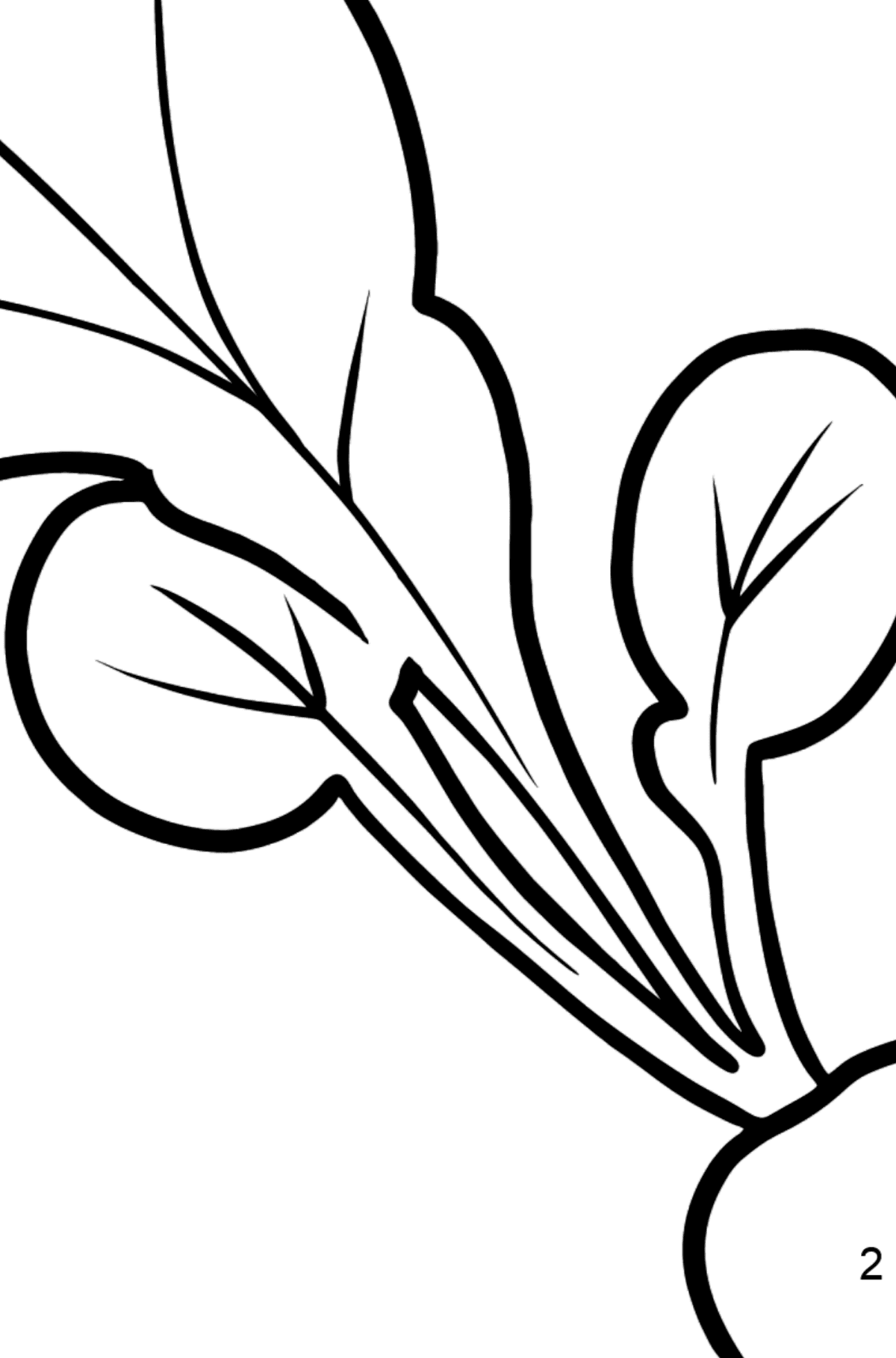 Radish coloring page - Math Coloring - Addition for Kids