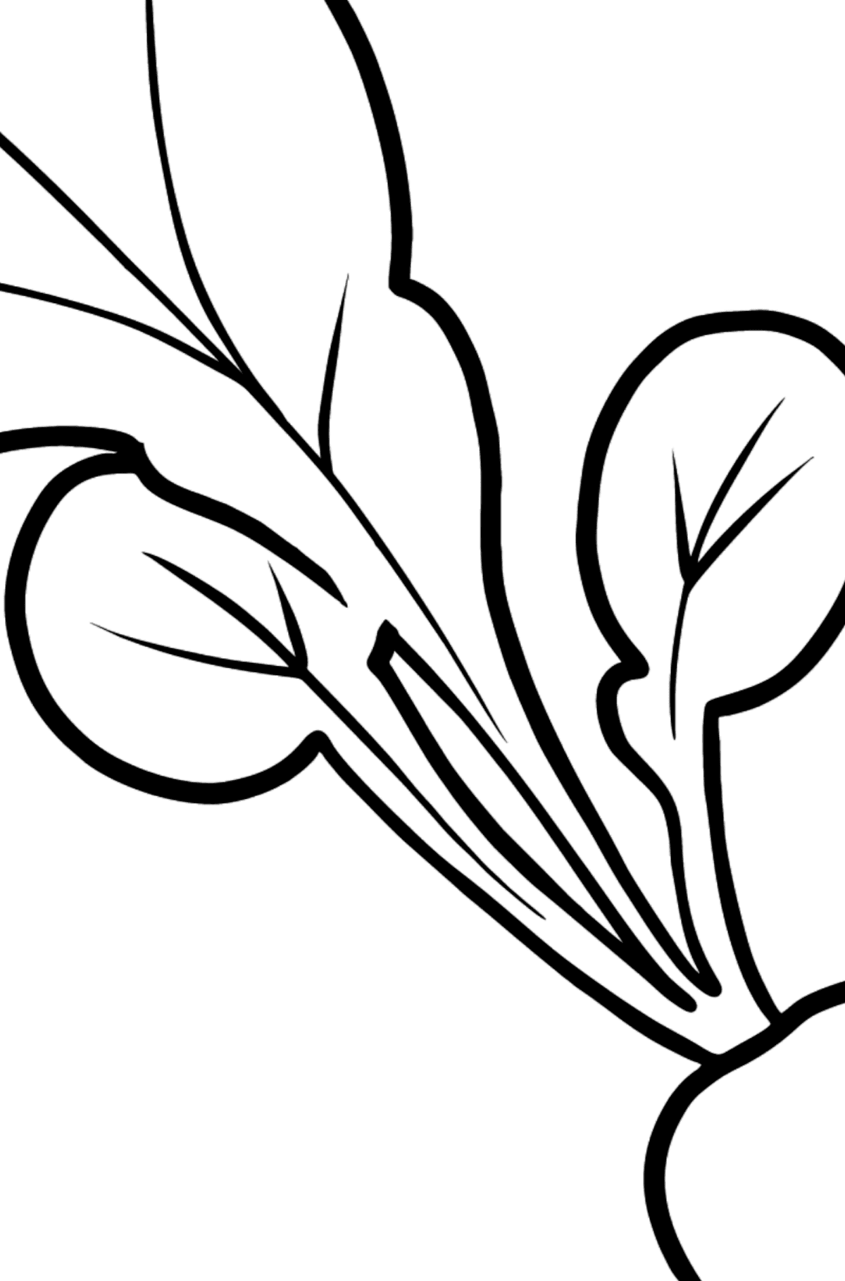 Radish coloring page - Coloring by Numbers for Kids