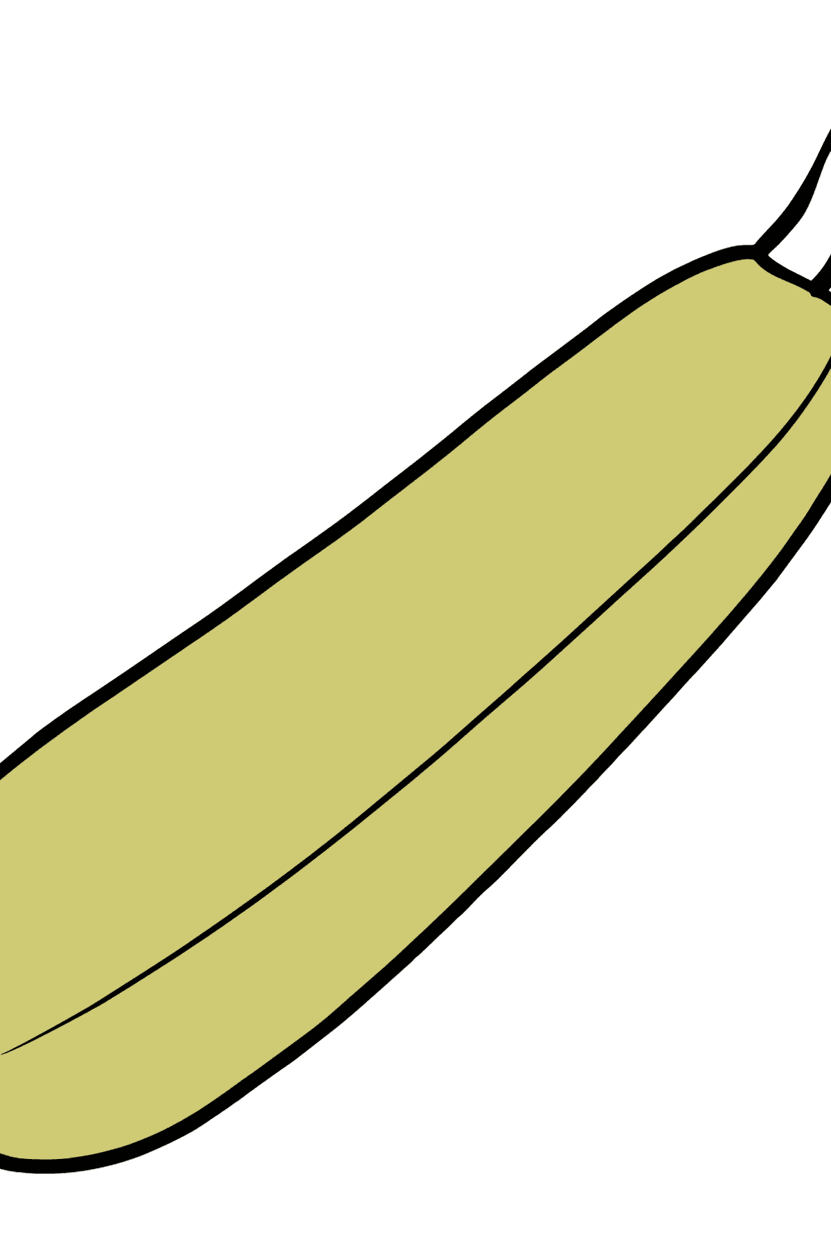 Zucchini Ausmalbild - Malvorlagen für Kinder