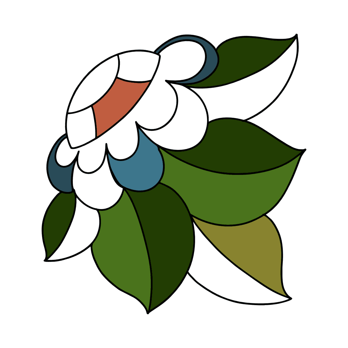 NUOVO